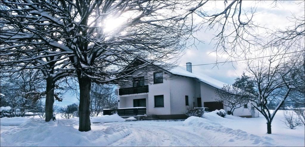 Apartment Lipa Irinovac Oda fotoğraf