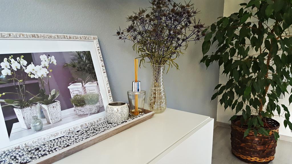 Apartment Lipa Irinovac Dış mekan fotoğraf